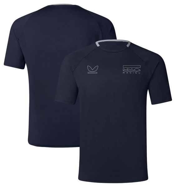 

f1 2023 team t-shirt formula 1 loose mens t-shirts casual classic summer short sleeves polo shirt plus oversized jersey