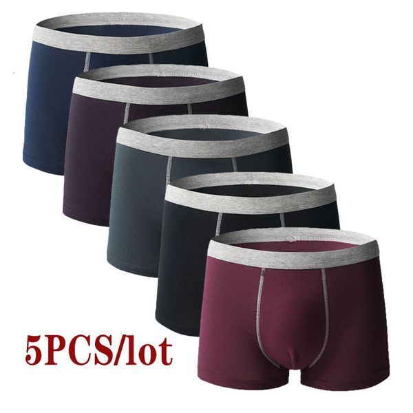 

underpants 5pcslot men underwear boxer homme boxershorts men underpants boxer shorts men panties breathable boxer homme cotton comfort 23050, Black;white
