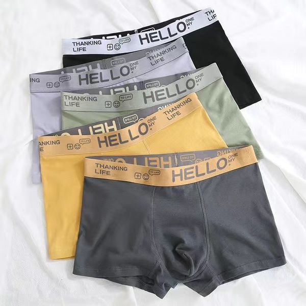 

underpants boxers men's panties underwear comfortable man cotton underpants cuecas calzoncillos breathable boxershorts lot plus size l-, Black;white