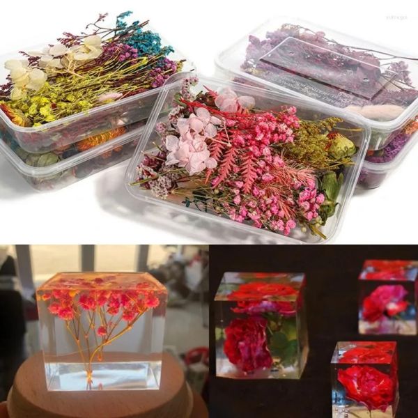 

decorative flowers 1 box mixed dried diy handmade flower crafts decoration