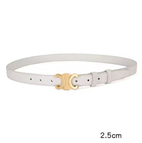 

mens belt automatic buckle designer belt luxury stripe letter buckle classic belts belts gold and silver black buckle casual width2.5cm size, Black;brown