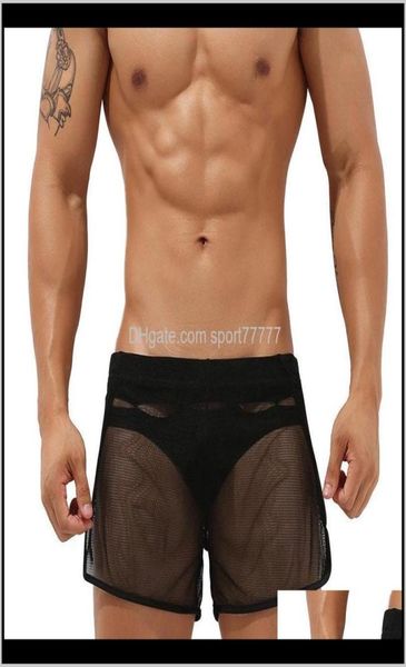 

equipment water sports outdoors drop delivery 2021 mens mesh grid transparent quick dry swimming shorts swimwear beach surf spor6011302