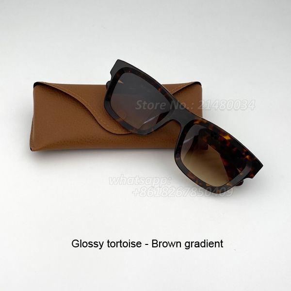 tortue brillante - gradient brun