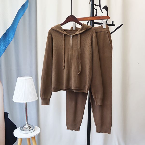 

women's two piece pants women tracksuit thick sweater autumn winter knitted two piece set hooded zipper up ant warm sweater elastic tro, White