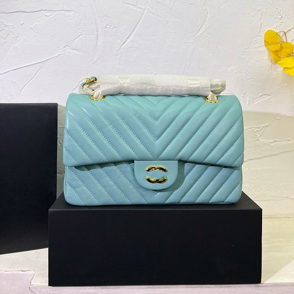 

designer womens shoulder bag sheepskin striped handheld crossbody bag gold hardware steering buckle thin chain makeup box mobile phone bags