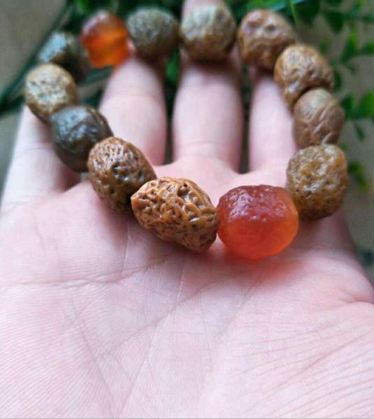 

factory direct natural authentic alxa gobi jade xinjiang raisin agate rough stone bracelet vein stone bracelet8711097, Silver