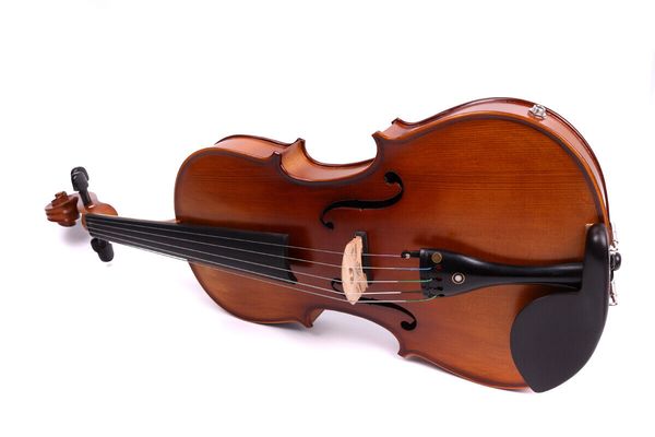 

yinfente 5string electric acoustic violin 4/4 maple+spruce case&bow #ev1