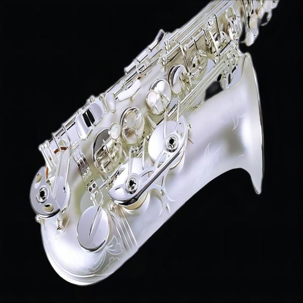 

silver plated alto saxophone yas-875ex professional instrument and saxophone nozzle with hard case138