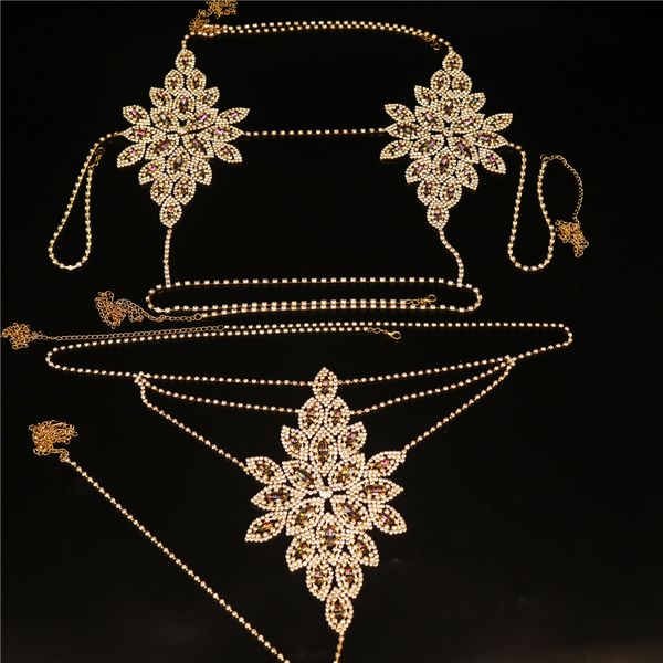 

luxury designer flower rhinestone shining claw chain body chain set underwear set chest chain panties nightclub style fashion dress show bra, Silver