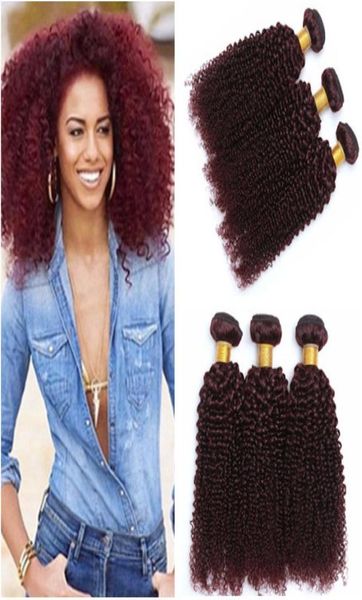 

peruvian virgin burgundy human hair bundles kinky curly hair weave extensions pure 99j wine red virgin human hair weaving cur5601358, Black