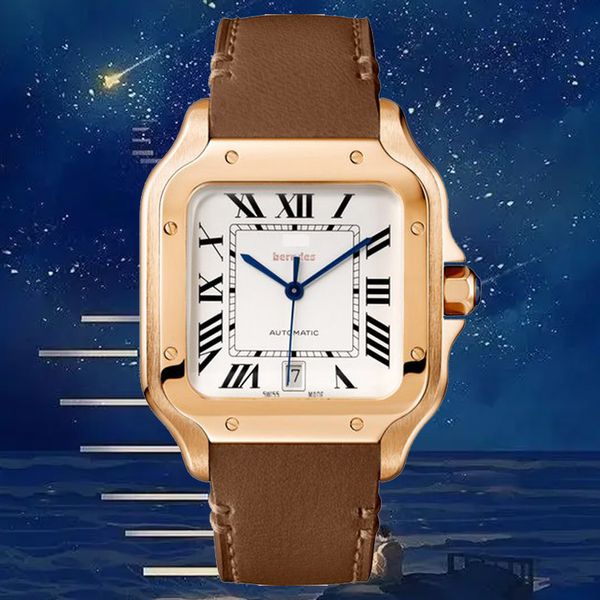 

mens famous watch gold luxury watchs mechanical watchs automatic stainless steel gold iced out sapphire luminous endurance montre de luxe wr, Slivery;brown