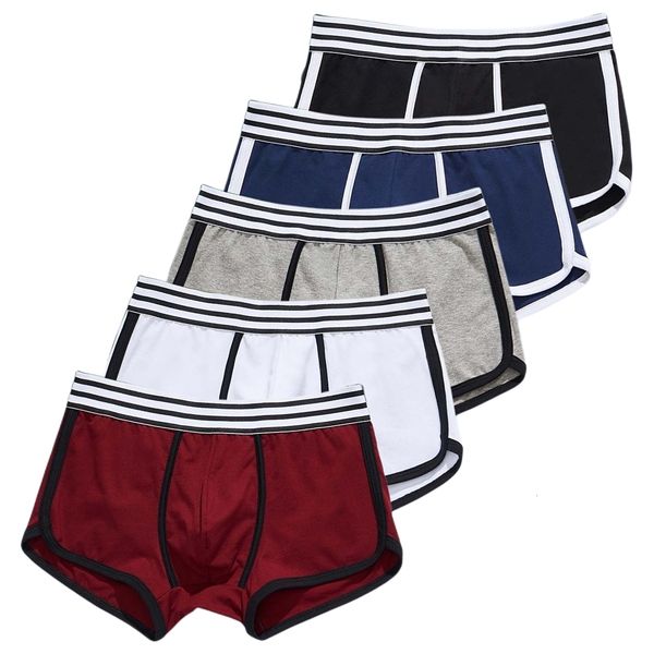 

underpants 5 pcs/lot boxer men underpants casual cotton mens underwear boxers men's shorts bulge pouch loose homewear panties man 23051, Black;white