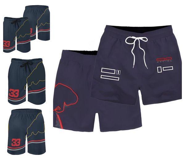 

new f1 racing suit men's team shorts summer breathable sweatpants beach pants