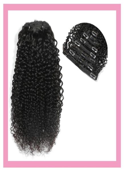 

indian raw human virgin hair extensions 824quot clip in hair products kinky curly 120g clip on hair natural color7841155, Black;brown