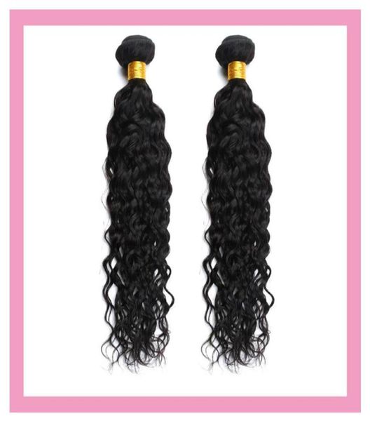 

brazilian human hair water wave 2 pieceslot double wefts curly two bundles natural color 1030inch7995347, Black