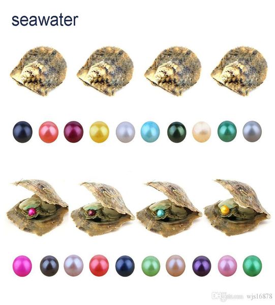 

whole diy 67mm round akoya pearls oyster 27 mixed colors natural grade oyster mussel jewelry making trend gift surprise7826589, White