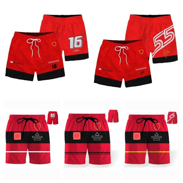 

f1 racing suit summer breathable team shorts men's car logo sweatpants beach pants