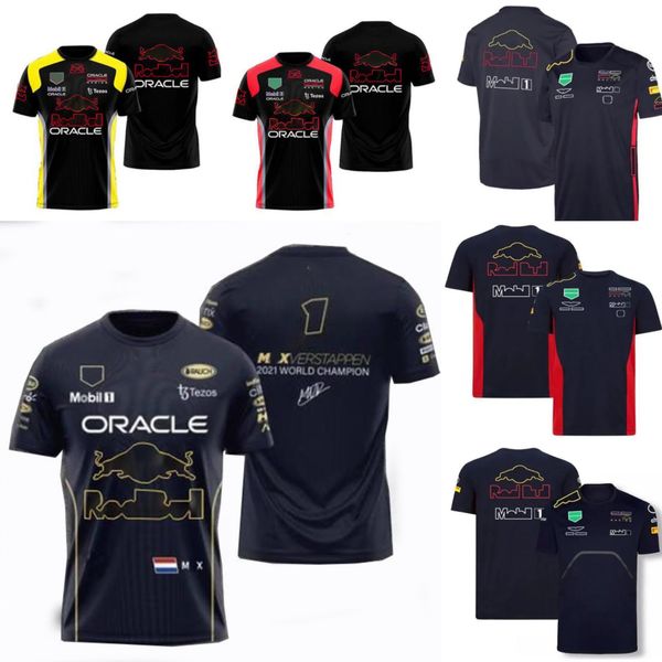 

f1 racing short sleeve t-shirt summer team short sleeve downhill jersey the same style custom