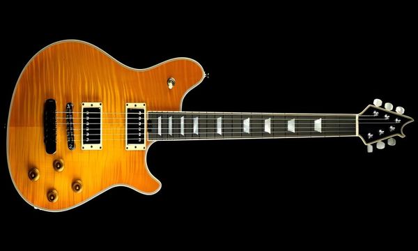 

factory musical instruments new arrival custom electric guitar ebony fb 541