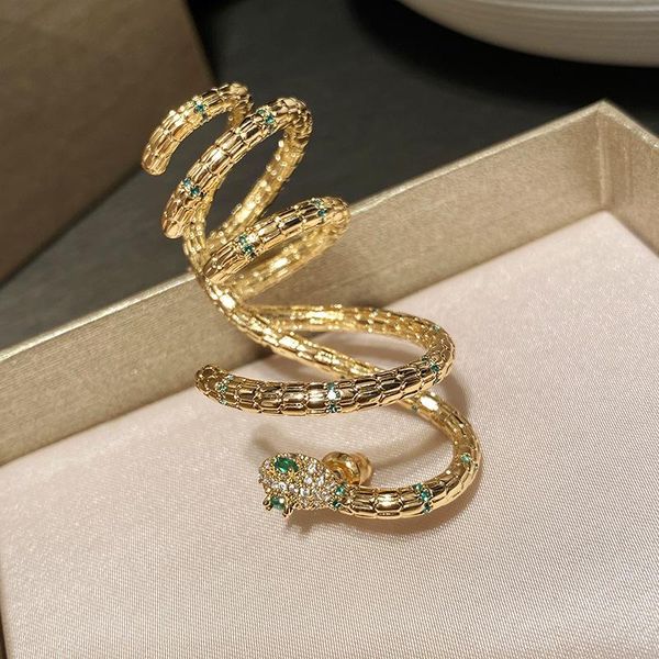 

back mysterious snakeshaped winding earrings design sense ear bone clip earrings one guardian spirit snake 925 silver needle single
