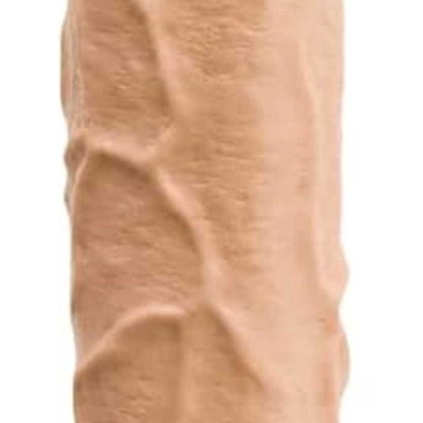 

factory outlet johnson classic dick ramone 43.18 cm toy with suction cup