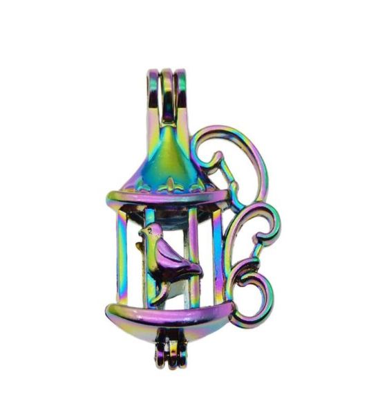 

10pcs rainbow color fun bird cage pearl cage beads cagelocket pendant essential oil diffuser diy jewelry locket for oysterpearls2793661, Silver