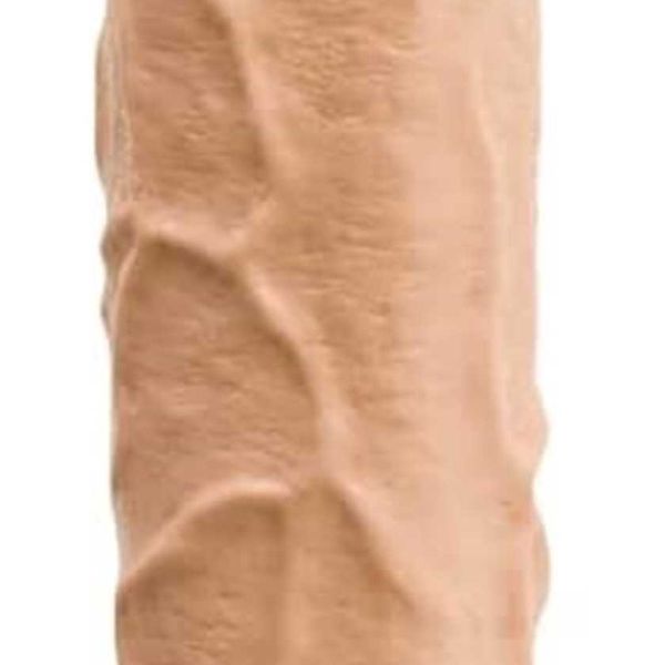 

factory outlet johnson classic dick ramone 43.18 cm toy with suction cup