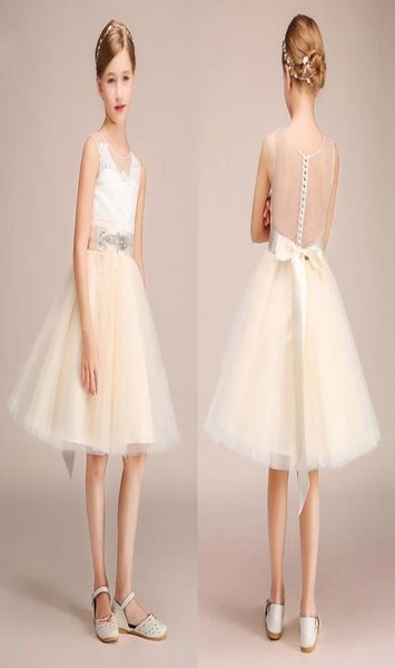 

champagne flower girl dresses for weddings sheer neck see through appliques sash short girls pageant dress child birthday prom gow8190074, White;red