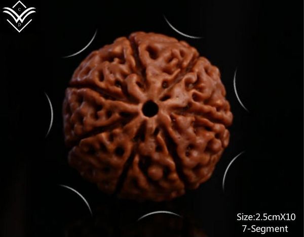 

bangle rudraksha 7 segments 25mmx10 fleshy buddha bead bracelet, Black