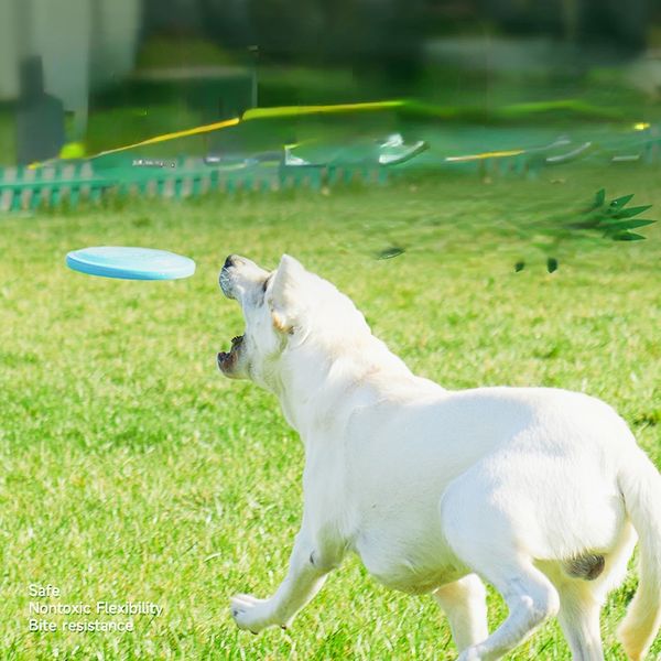 

Dog Frisbee, High Flying Aerodynamic Disc for Dogs Puppy Lightweight, Floatable Dog Frisbees for Fetch, Tug of War, Catch, Play Doubles as Food/Water Bowl