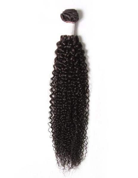 

one bundle 830inch unprocessed indian hair curly human hair 100 brazilian malaysain peruvain afro hair extensions5992117, Black