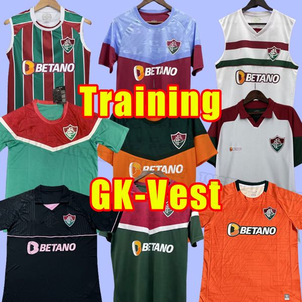 

2023 2024 fluminense soccer jerseys 23 24 egidio lucca m.paulo ph ganso special jersey nene nino nonato miguel calegari camisa men goalkeepe, Black;yellow