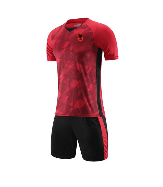 

albania fc men's tracksuits summer short sleeve football training suit kids size available, Gray