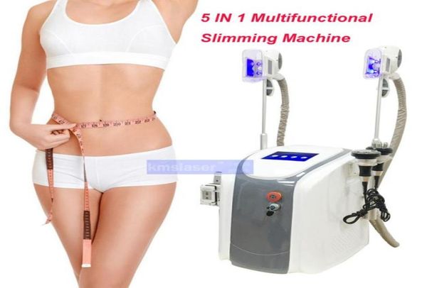

spa salon use protable 2 cryo handles cryotherapy fat zing body slimming weight loss beauty equipment6073601