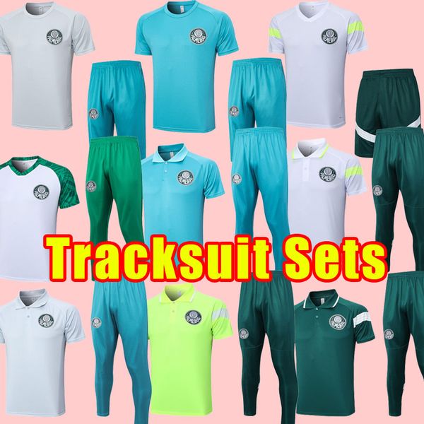 

palmeiras soccer tracksuits 23 24 2023 2024 hendecacampeao l. adriano ramires dudo gomez veiga willian roni football shirts melo training su, Black
