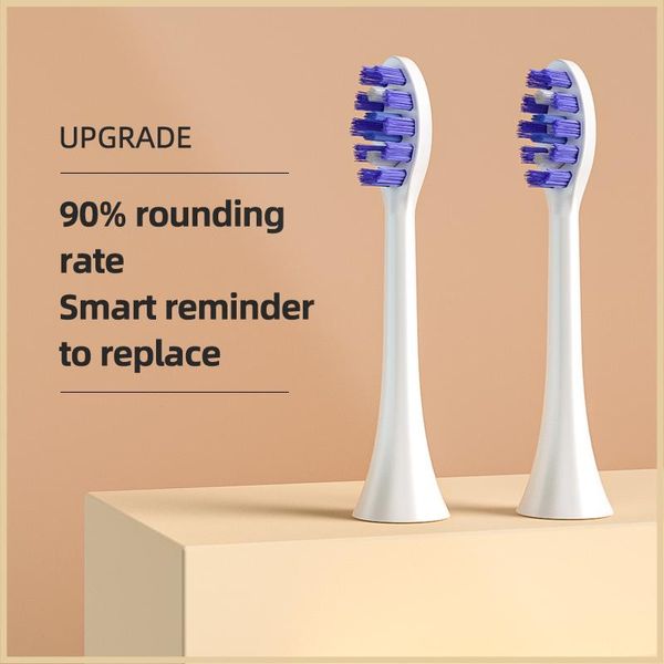 

head kiwibird toothbrush head foodgrade dupont bristles with color changing indicator electric toothbrush repalcement head for clean