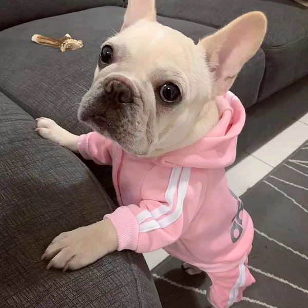 

YUEXUAN Designer Dog Pet Clothes Adidog Pet Clothes Chihuahua French Bulldog Winter Warm Dog Apparel Four Legs Dog Jacket Coat Puppy Clothing for Small dogs Outfit, Light blue