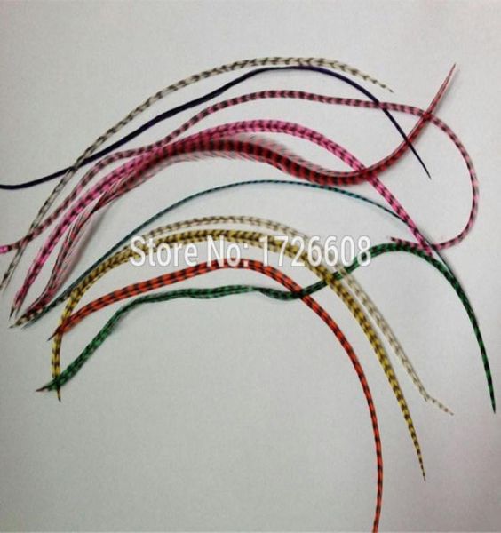 

10pcslot 1535cm natural colors hair feathers 100 real grizzly thin rooster individual feather hair extensions1077750