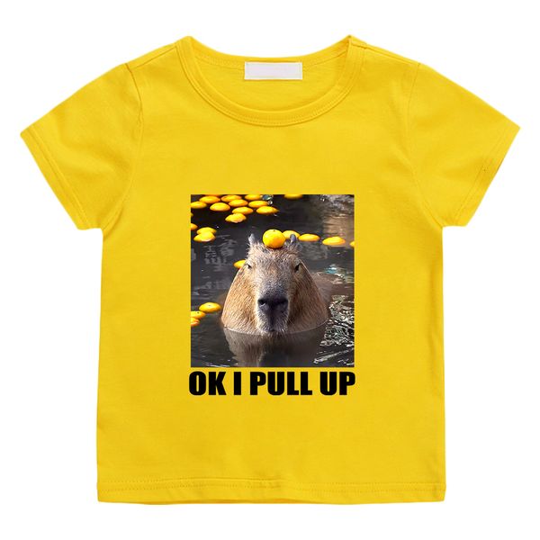 

clothing sets ok i pull up capybara cute print teeshirt short sleeve 100 cotton children tshirt kawaii cartoon graphic printing soft 230630, White