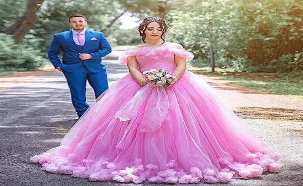 

pink off the shoulder ball gown quinceanera dresses flowers tulle floor length plus size prom dresses elegant sweet 16 dresses lac9100585, Blue;red