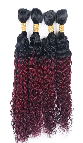 

kinky curly 4 bundles t 1b 99j ombre dark wine red two tone color brazilian virgin human hair weave 4 bundles extension1799106, Black