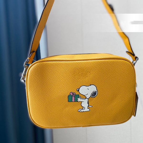 

cartoon camera bag shoulder bags designer crossbody coac handbag tote women men classic jacquard square leather messenger wallet underarm sa