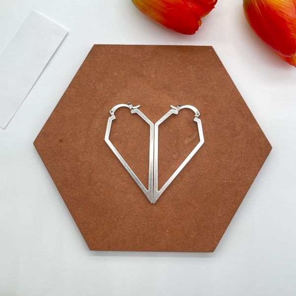 

designer exaggerated geometric earrings the first choice for fashionable ladies exquisite workmanship stainless steel popular jewelry is fas, Golden;silver