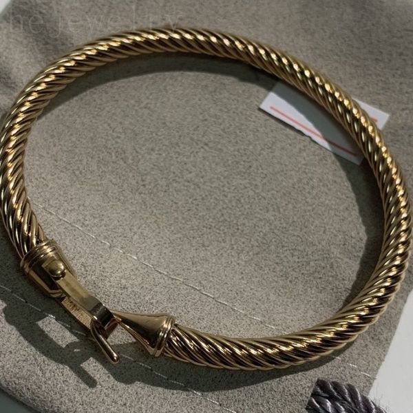 

fashion designer bracelets metal luxury bangle cables pure color plated gold silver pulsera jewlery designer for women simple style cuff bra, Black