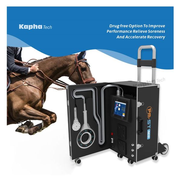 

pulsed electromagnetic field for horse pain relief recovery equine physiotherapy machine