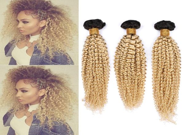 

blonde ombre brazilian human hair weave bundles 3pcs lot kinky curly 1b613 blonde ombre virgin human hair wefts 1030quot mixe4860483, Black