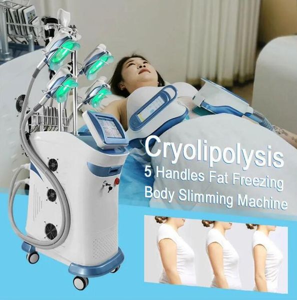 

clinic use body shaping cryolipolysis machine fat e slim beauty equipment 360 degree cryotherapy machine for fat reduce lose weight