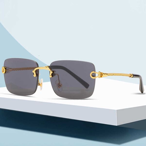 

Fashion carti top sunglasses Sunglasses men's hemp rope steel leg frameless Women's personalized optical glasses with original box