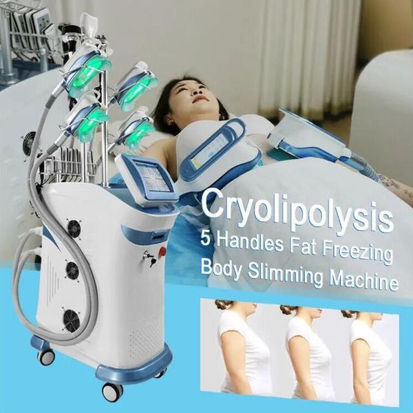 

original cryolipolysis slimming vertical effect slimming machine fat ing machine body slimming 5 head e fat removal body shaping weight loss