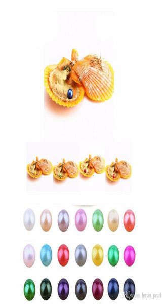 

new akoya love seawater shell pearl oyster 67mm red shell pearl oyster with vacuum packaging trend gift surpri5377479, White